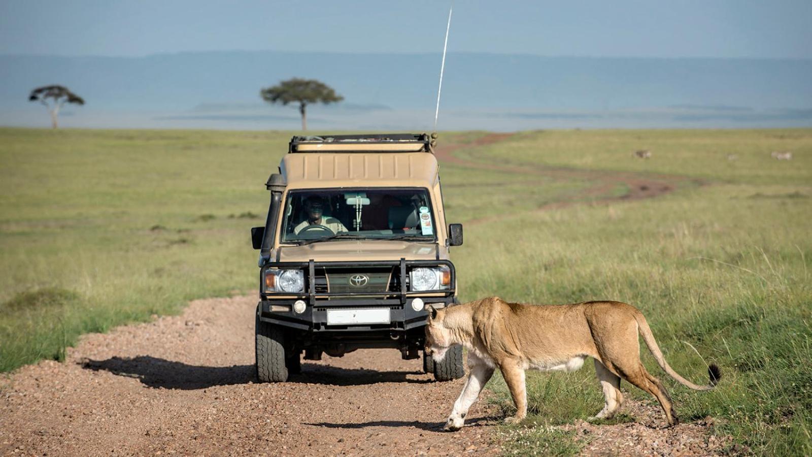 Hotel Talek Bush Camp , Masai Mara Zewnętrze zdjęcie