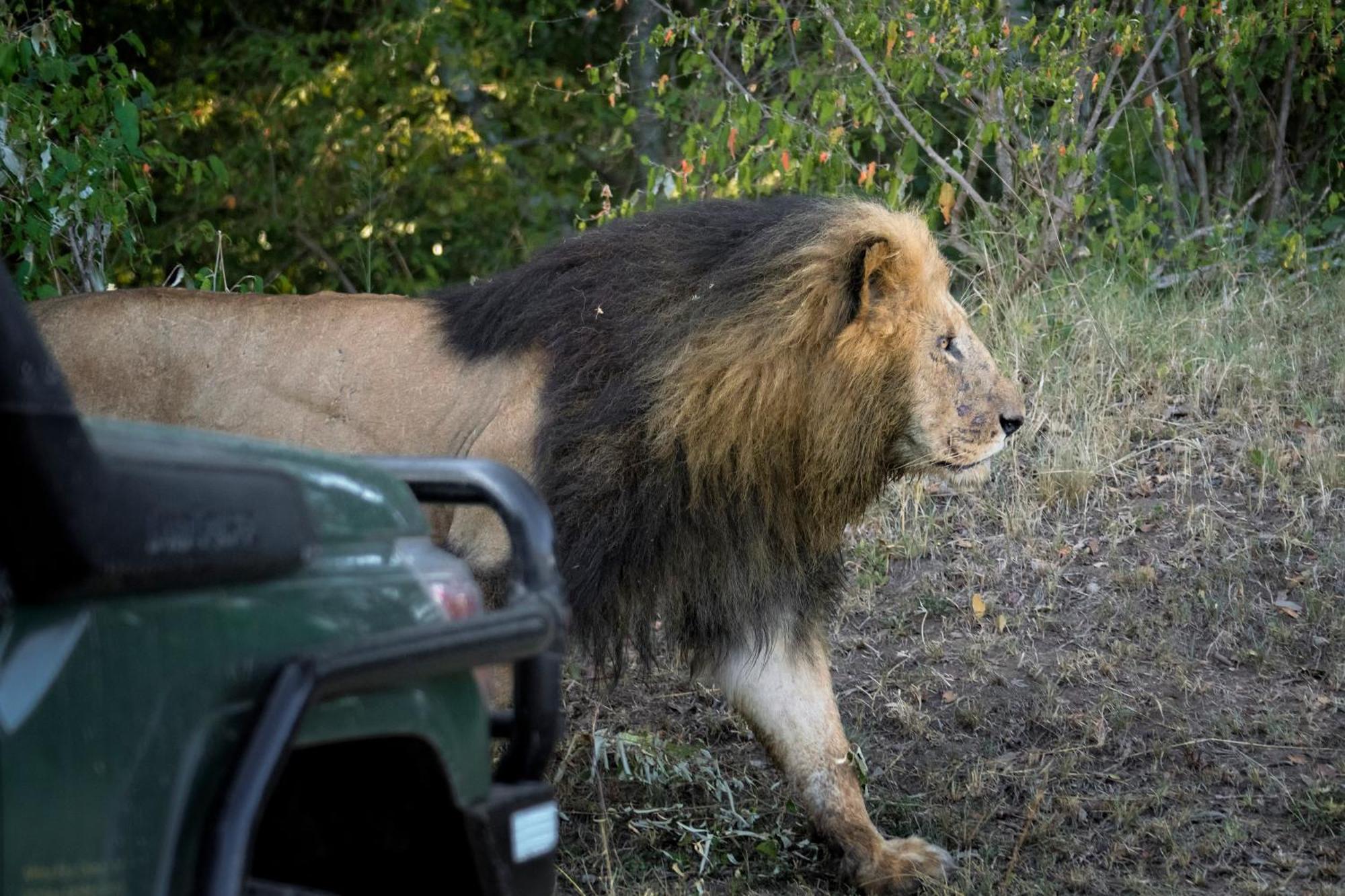 Hotel Talek Bush Camp , Masai Mara Zewnętrze zdjęcie